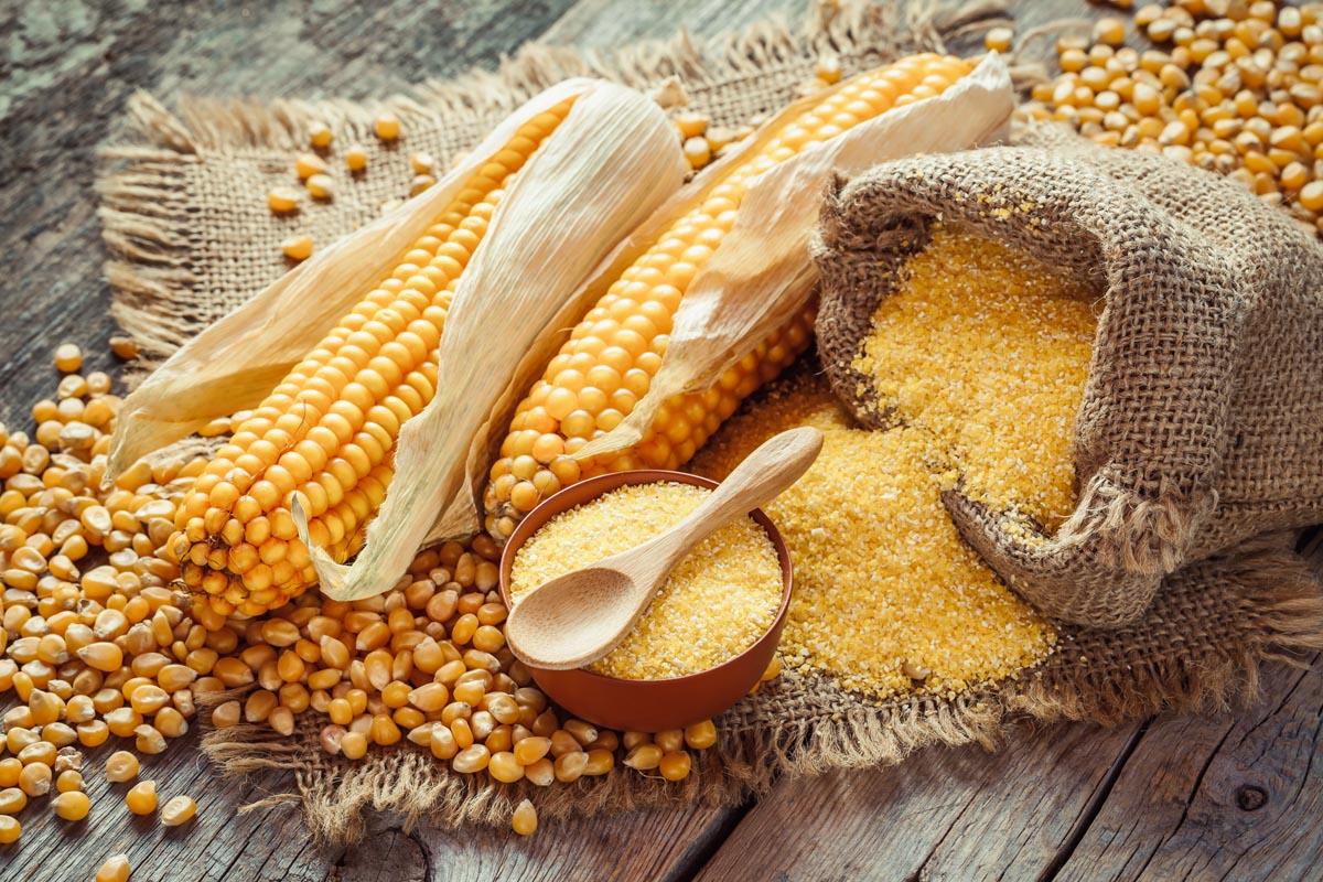 واردات ، تولید ، تامین و توزیع کنجاله گلوتن ذرت