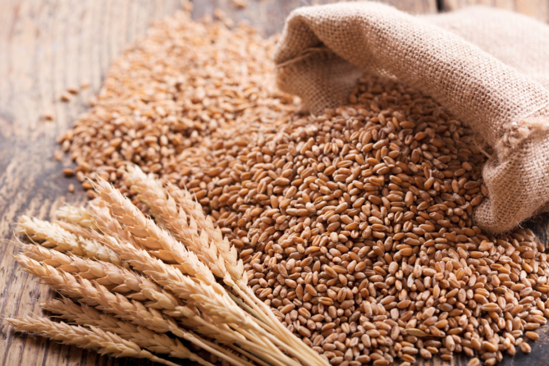 واردات ، تولید ، تامین و توزیع جو دامی