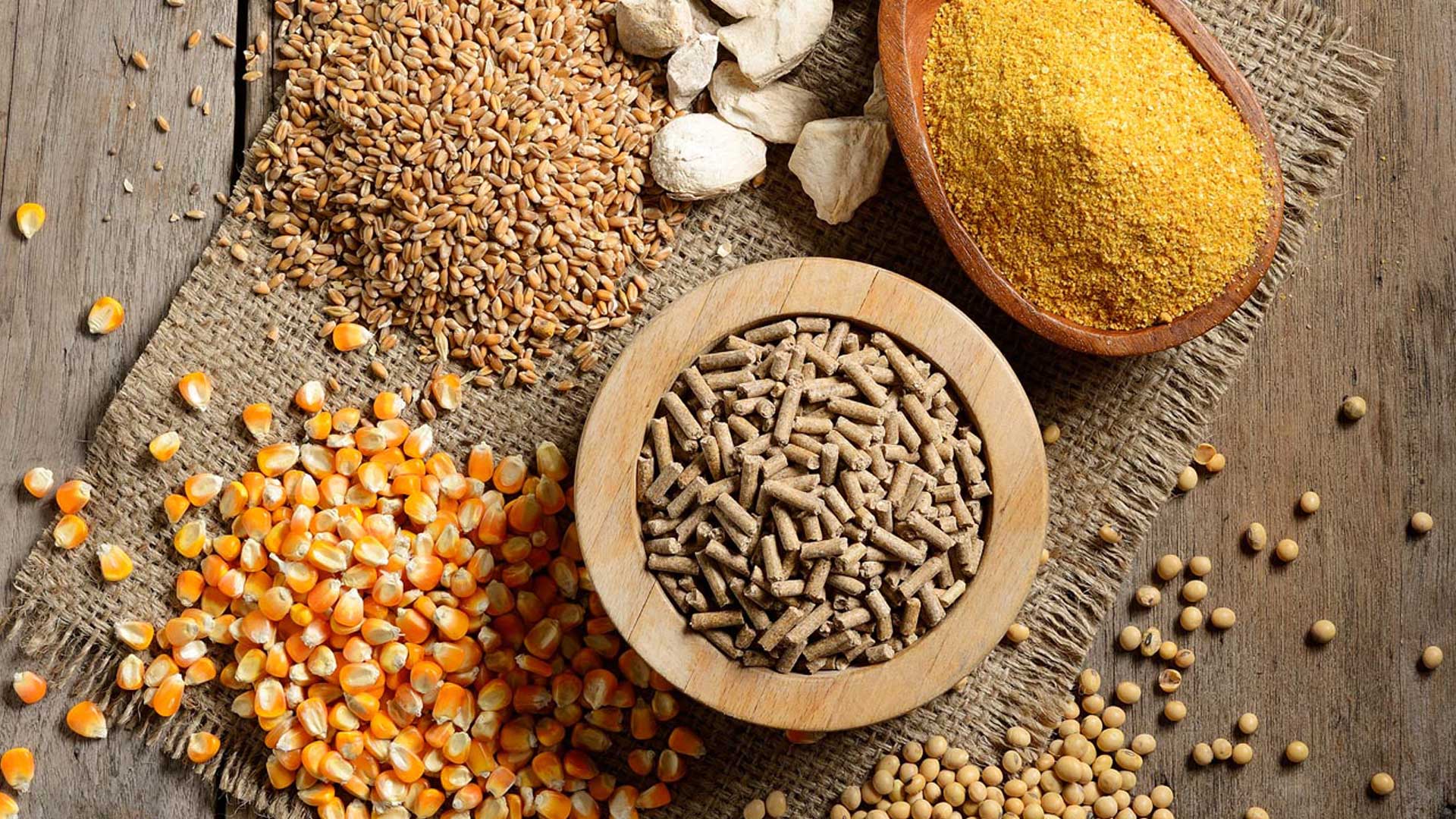 نهاده های دامی
